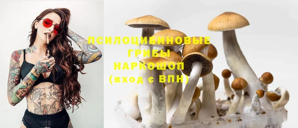 герыч Балахна